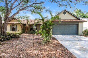 1023 Malletwood Dr in Brandon, FL - Building Photo