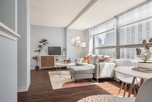 456 E Ohio St in Chicago, IL - Building Photo