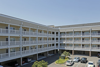 Belmont at City Center in Newport News, VA - Building Photo - Building Photo