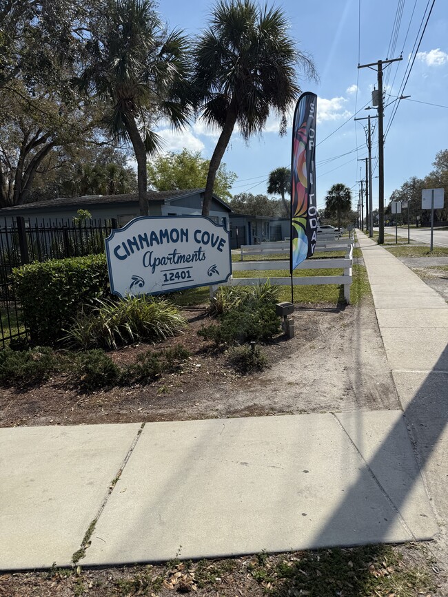 Cinnamon Cove Apartments in Tampa, FL - Building Photo - Building Photo