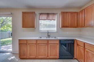 17202 Ardisia Dr in Pflugerville, TX - Building Photo - Building Photo