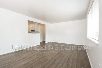 1040 N Raleigh St in Denver, CO - Building Photo - Building Photo