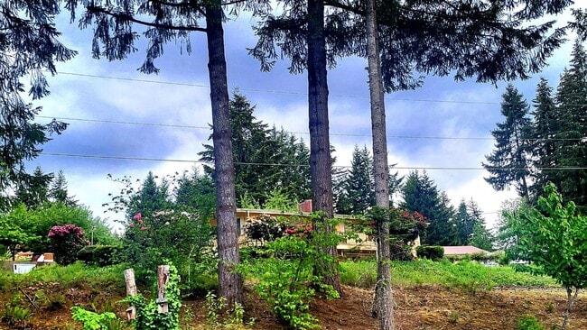 property at 27966 Riggs Hill Rd