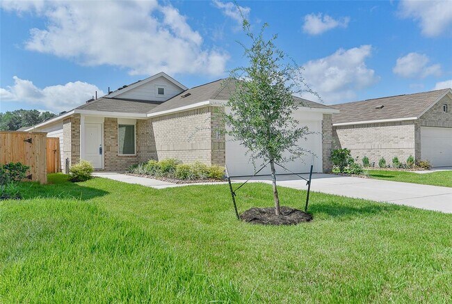 21330 Offida Ln in New Caney, TX - Building Photo - Building Photo