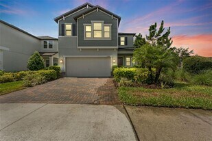 17970 Fenders Wy in Land O Lakes, FL - Building Photo