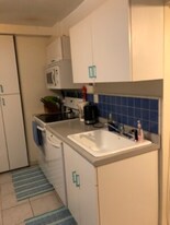56 Hobson St, Unit 1 in Boston, MA - Building Photo