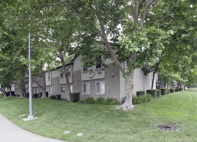 Washington Courtyard in West Sacramento, CA - Foto de edificio - Building Photo