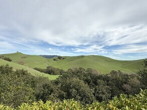 4466 Deer Ridge Rd in Danville, CA - Building Photo - Building Photo