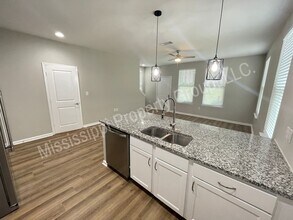 517 Olive Branch Way in Oxford, MS - Foto de edificio - Building Photo
