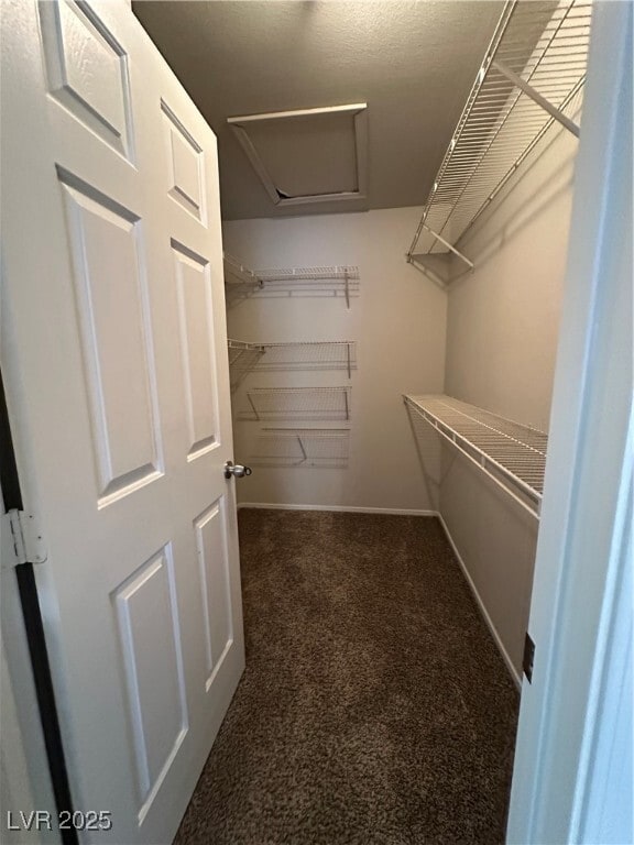 property at 2604 Ponderosa Pine Ave