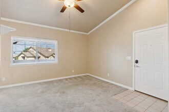 7124 Ash Creek Heights in Colorado Springs, CO - Building Photo - Building Photo