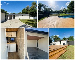 8114 N Newport Ave in Tampa, FL - Building Photo