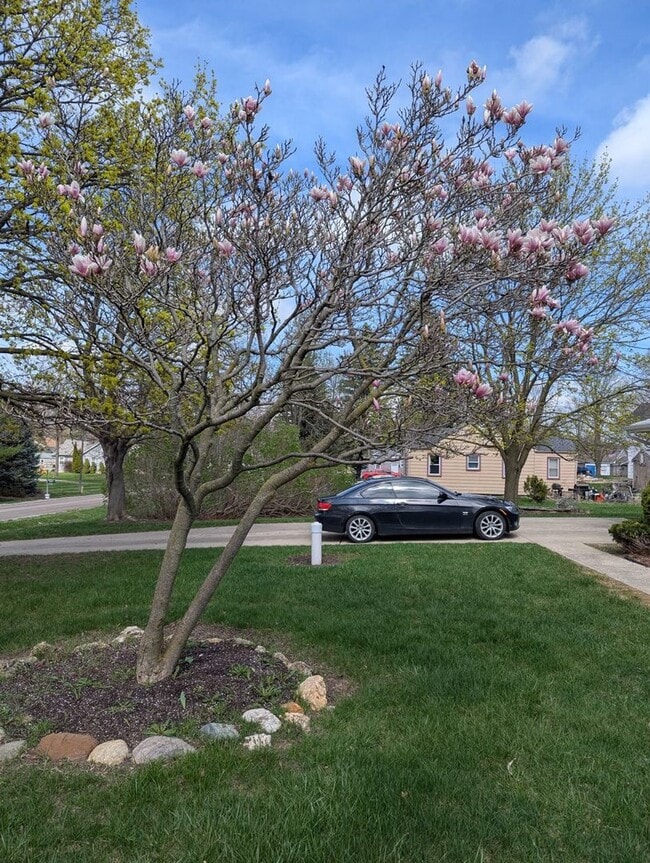 3292 Frederick St in Grand Blanc, MI - Building Photo - Building Photo