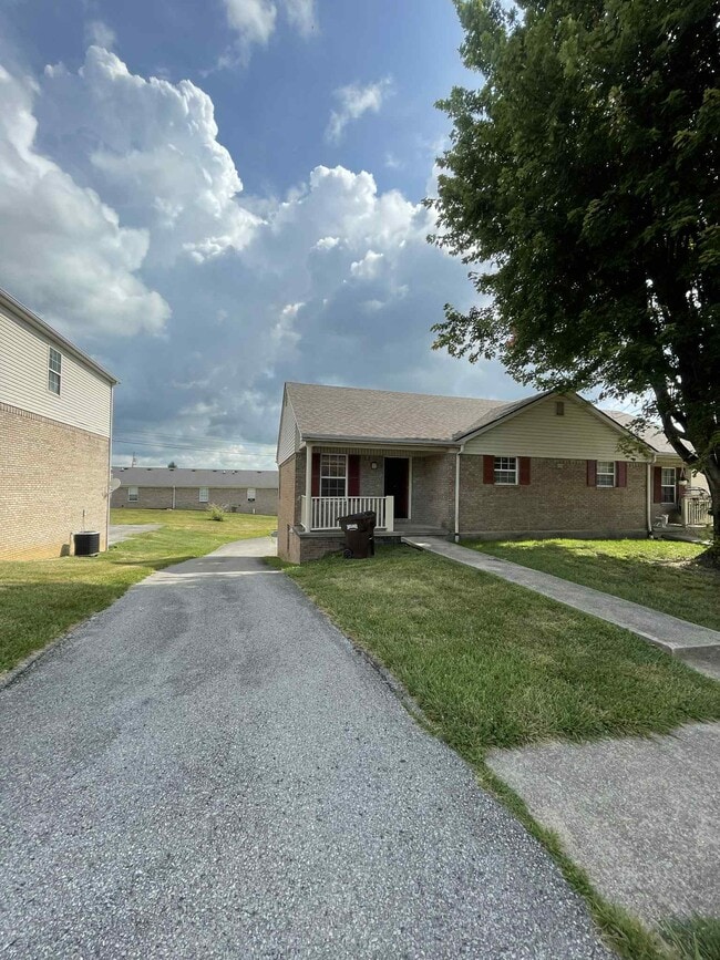 property at 207 Aqueduct Dr