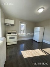 1003 Bridge St NW in Grand Rapids, MI - Building Photo - Building Photo