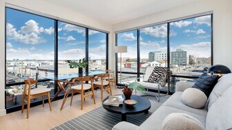 Birch House in Jersey City, NJ - Building Photo