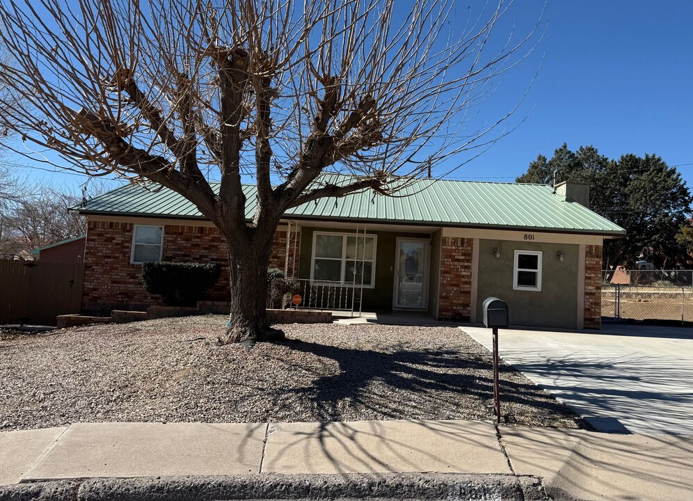 801 Lisa Pl in Silver City, NM - Building Photo