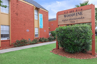 Woodvine Apartments in Houston, TX - Foto de edificio - Building Photo