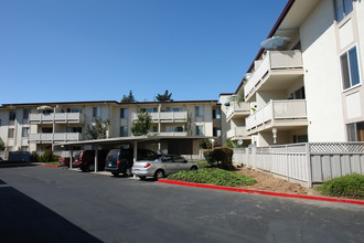 Parkmont Gardens in Fremont, CA - Building Photo - Building Photo