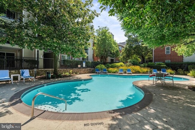 3311 Wyndham Cir, Unit 2202 in Alexandria, VA - Foto de edificio - Building Photo