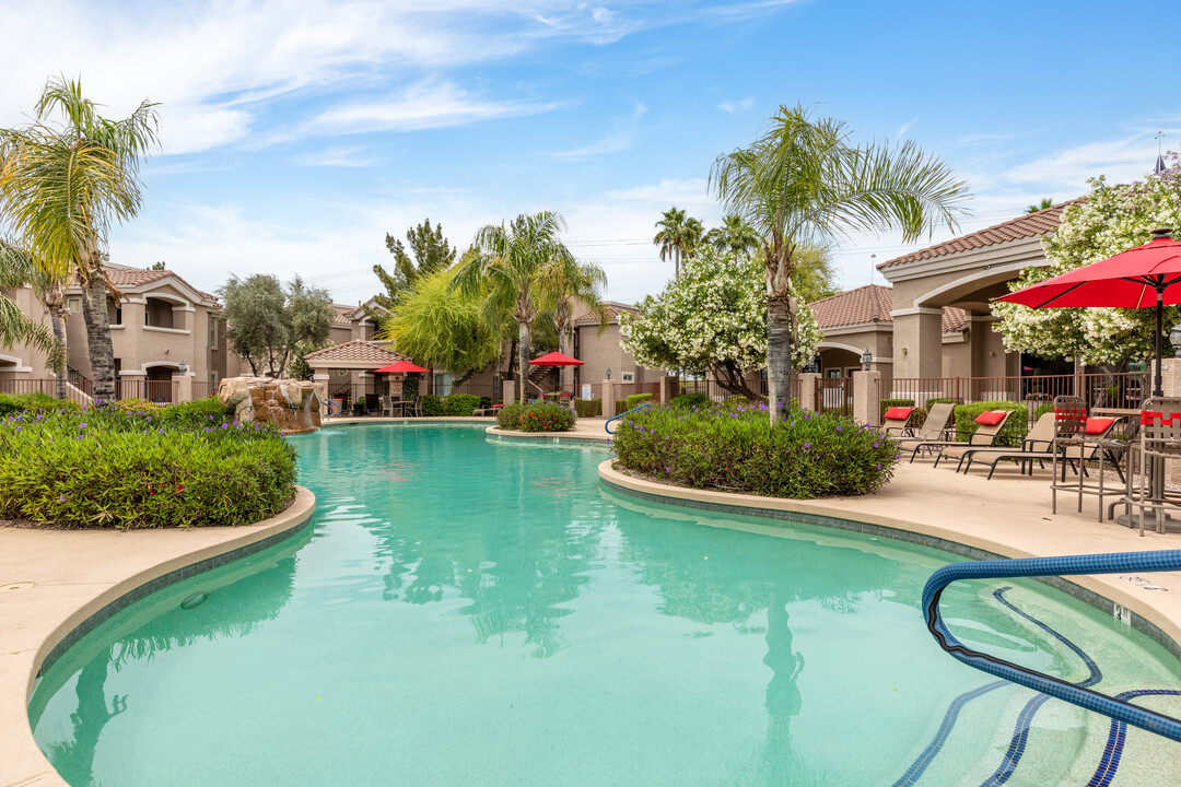 Sun Valley Ranch Apartments in Mesa, AZ - Building Photo