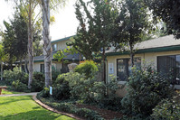 Persimmon Villas Senior Apartments in El Cajon, CA - Foto de edificio - Building Photo