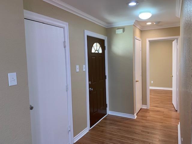 1437 Thornhill Ln in Little Elm, TX - Foto de edificio - Building Photo