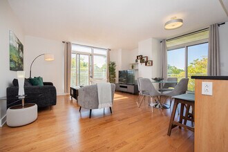 151 Av. Atwater in Montréal, QC - Building Photo - Building Photo