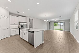 31603 Magna Gulf Loop in San Antonio, FL - Building Photo - Building Photo