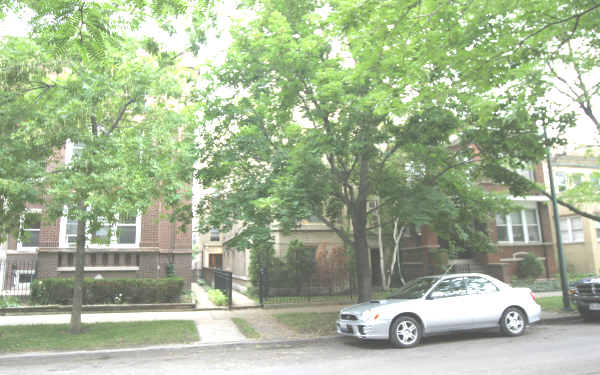 1250 W Cornelia Ave in Chicago, IL - Building Photo - Building Photo