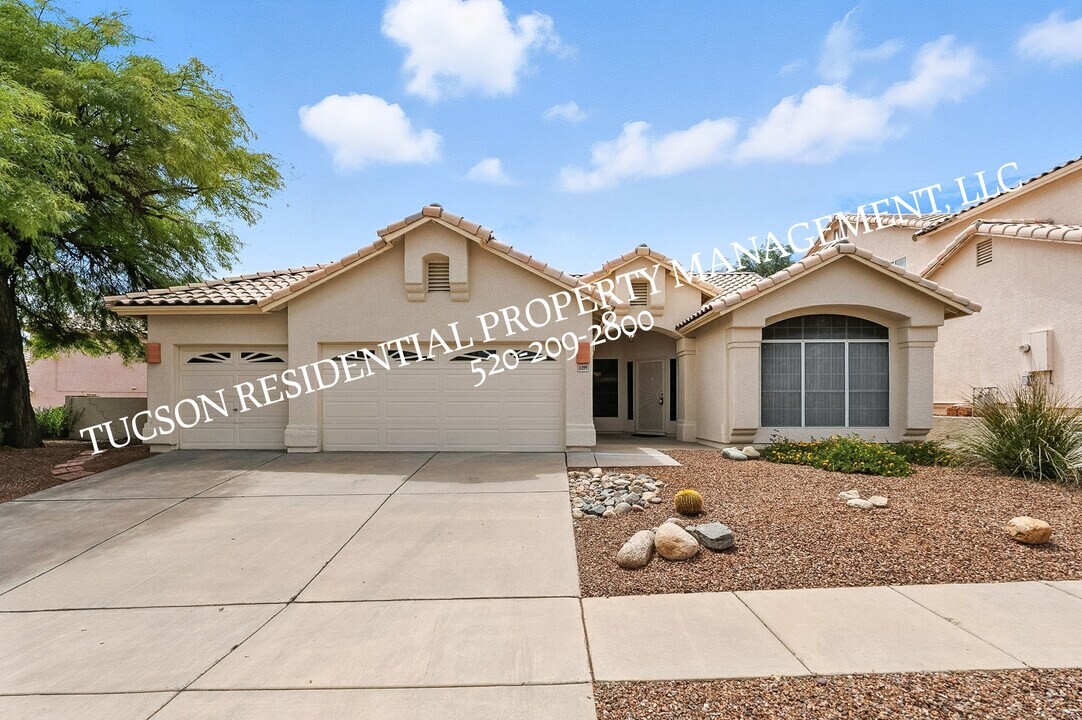 11399 Silver Pheasant Loop in Oro Valley, AZ - Building Photo