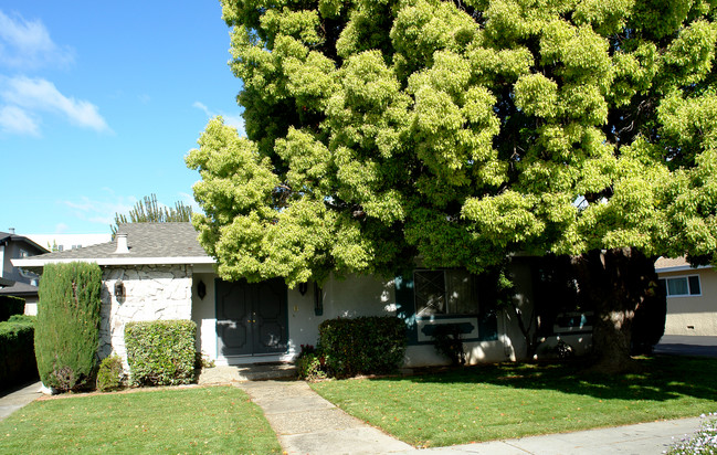 1331 Castlemont Ave in San Jose, CA - Building Photo - Building Photo