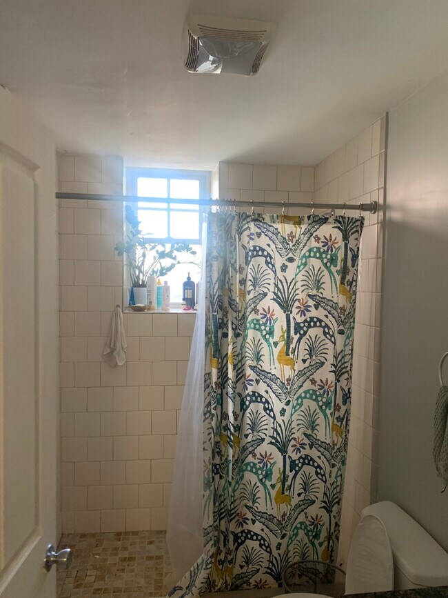 55 Magazine St, Unit #6B in Cambridge, MA - Building Photo - Building Photo