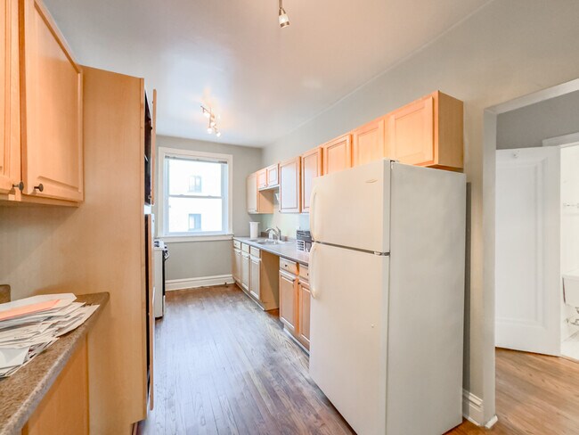 1337 W Lunt Ave in Chicago, IL - Building Photo - Building Photo