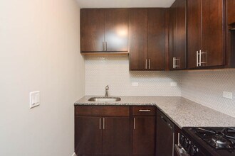 533 W Surf St in Chicago, IL - Building Photo - Building Photo