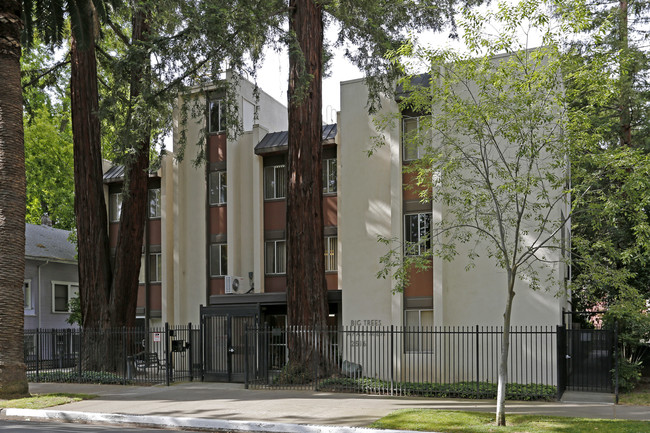 Big Trees Apartments in Sacramento, CA - Building Photo - Building Photo