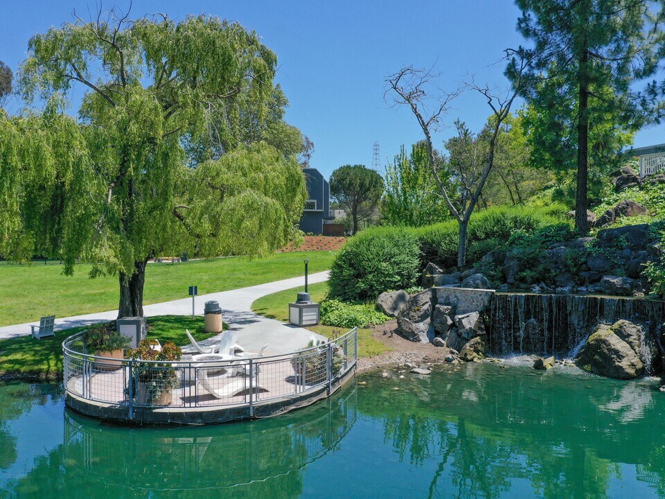 Serenity at Larkspur in Larkspur, CA - Foto de edificio