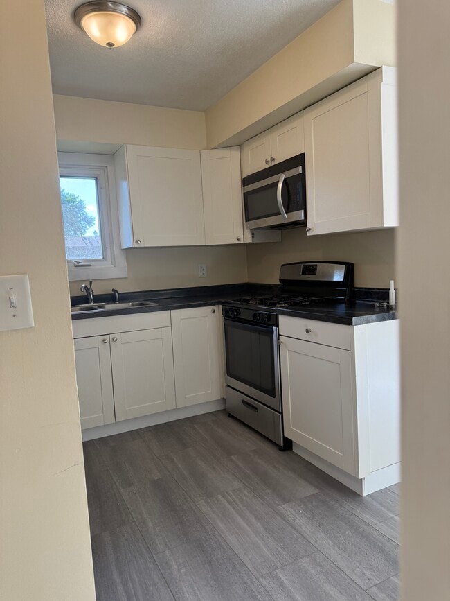 14707 Dominica Ct in Apple Valley, MN - Building Photo - Building Photo