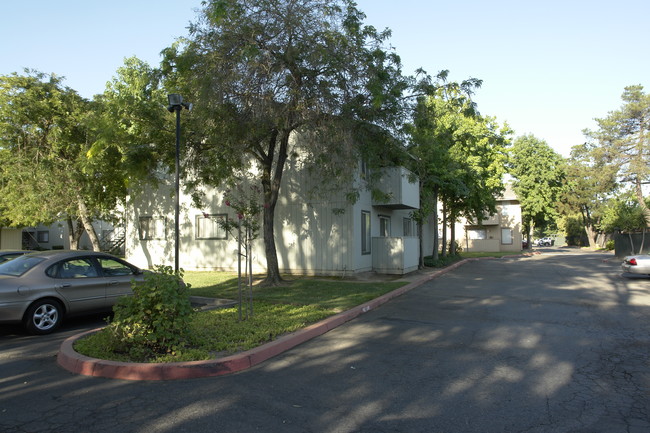 Southwind Apartments in Lodi, CA - Building Photo - Building Photo