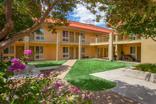 The Palms on Lamar Apartments