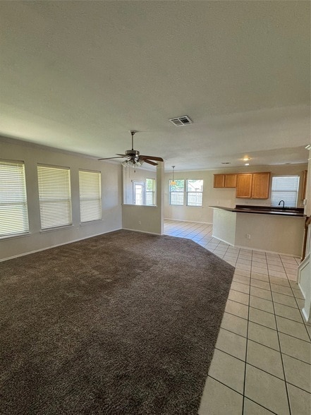 203 Spruce Trail in Forney, TX - Foto de edificio - Building Photo