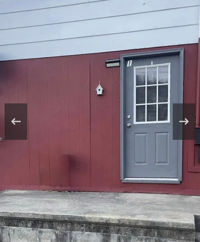 309 Plum St, Unit 1 in Proctor, WV - Building Photo - Building Photo