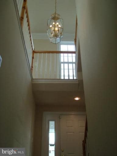 11445 Fogarty Ct in Fairfax, VA - Building Photo - Building Photo