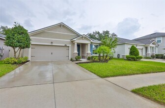 11412 Blue Woods Dr in Riverview, FL - Building Photo - Building Photo