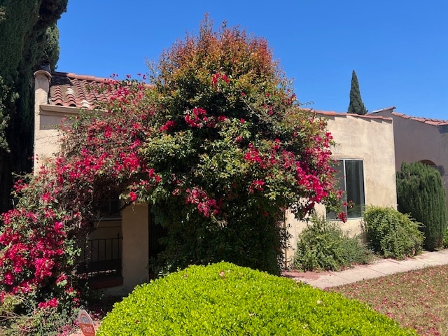 1018 1/2 N Serrano Ave in Los Angeles, CA - Building Photo - Building Photo