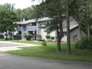 305 S Walnut St in Greenville, MI - Building Photo - Building Photo