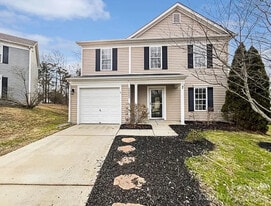 10609 Spring Rain Ct in Charlotte, NC - Building Photo