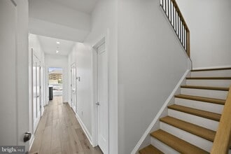 4319 Harrison St NW in Washington, DC - Building Photo - Building Photo