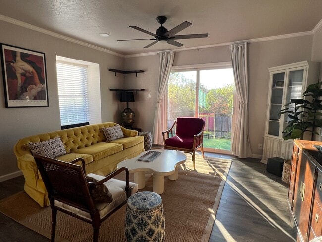 168 Barilla Pl in San Antonio, TX - Building Photo - Building Photo