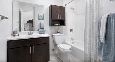 21 W Chestnut St, Unit 806 in Chicago, IL - Building Photo - Building Photo